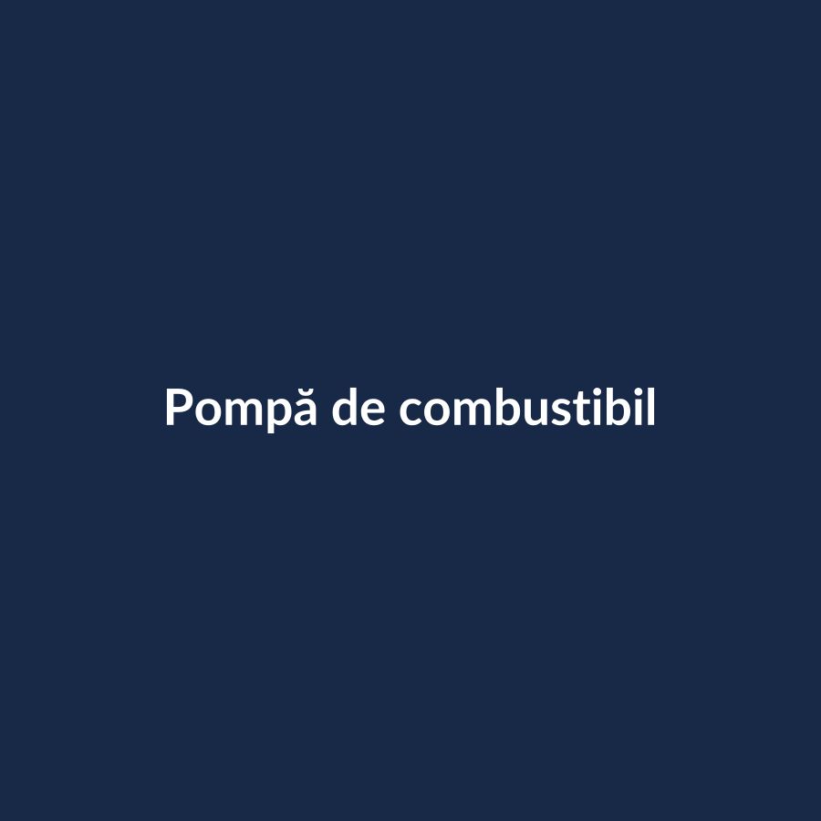 Pompă de combustibil - imagine demonstrativă