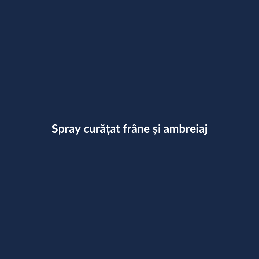 Spray curățat frâne și ambreiaj - imagine demonstrativă