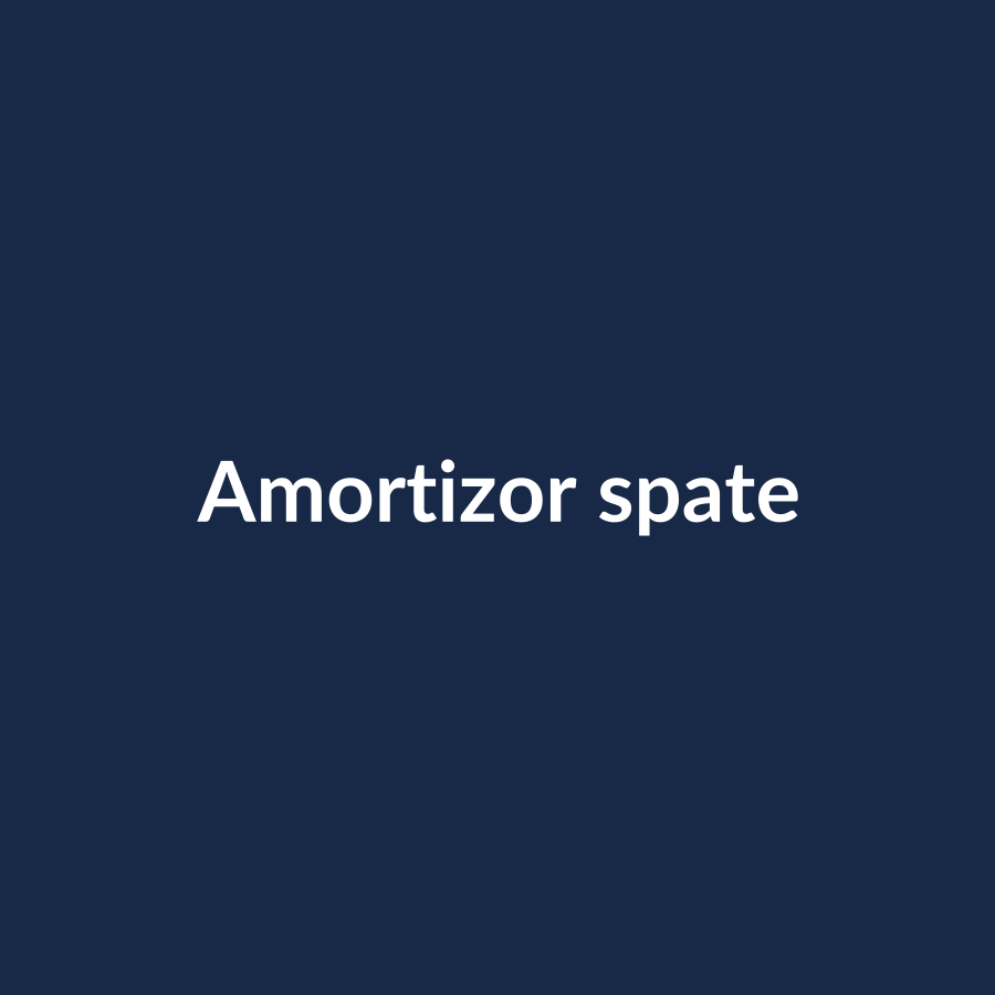 Amortizor spate - imagine demonstrativă