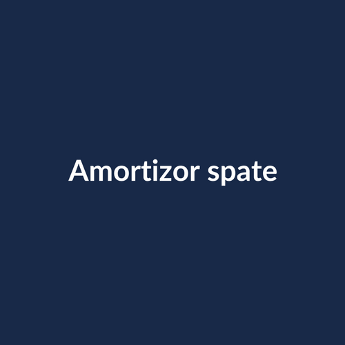 Amortizor spate - imagine demonstrativă